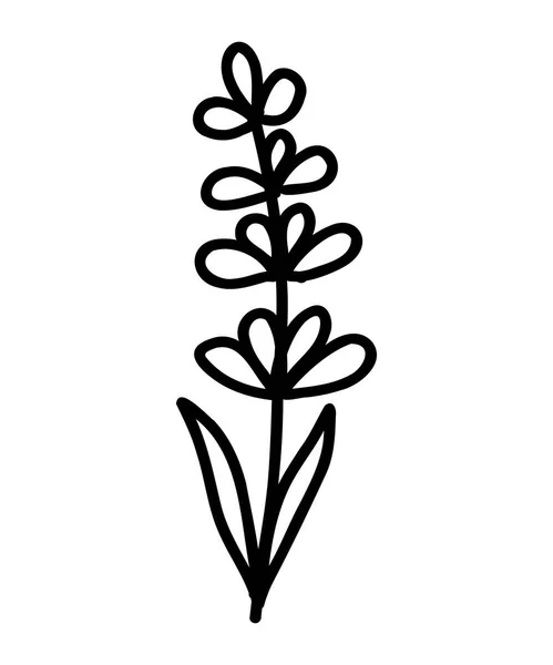 ラベンダーの花のアイコン Webサイトやモバイルアプリケーションのための花のトレンディな輪郭ベクトルイラスト 植物のロゴアウトライン図面 細線ドアスタイル — ストックベクタ