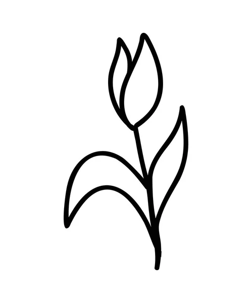 Ikona Kwiatów Tulipanów Modna Ilustracja Wektora Konturu Kwiat Dla Witryn — Wektor stockowy