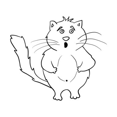 Cat. Funny fat doodle cat. Clipart. shocked cat. Vector illustration of a cat.