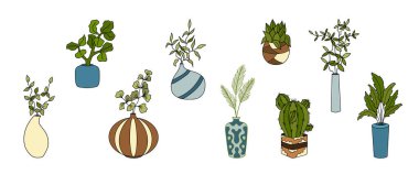 House plants, interior decor, set with vector illustrations of flowers. Clip art of vases with flowers. A pot with home flowers, succulents, ficuses