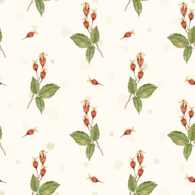 Autumn watercolor pattern with rose hips. Rosehip fruits and branches. Design for cover, textile, stationery