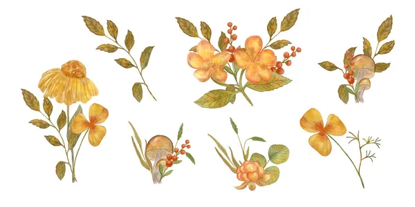 가을의 가을꽃 버섯은 가을꽃 색깔로 이루어져 있습니다 엽서와 스티커 디자인 — 스톡 사진