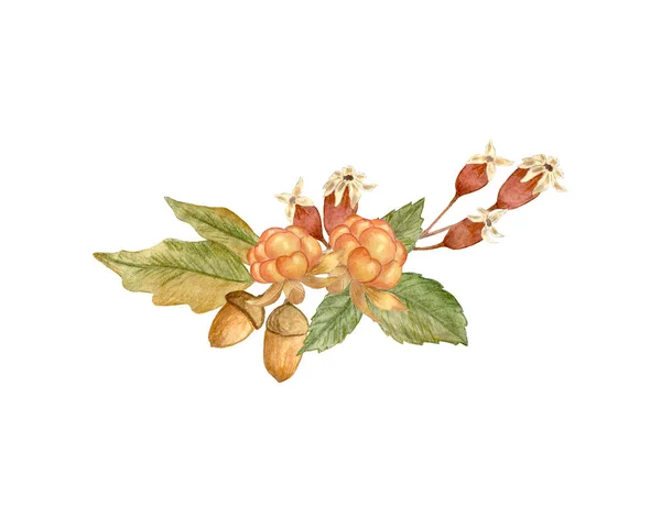 가을의 가을꽃 엉덩이의 색깔로 이루어져 엽서와 스티커 디자인 배경에 고립됨 — 스톡 사진