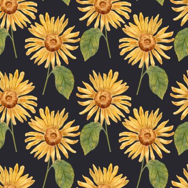 Ayçiçeği. Ayçiçeği çiçekli suluboya desenli. Ayçiçeği çizimi. Şükran Günü için sonbahar çiçekleri. Sonbahar hasadı