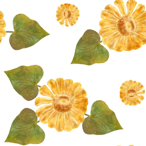 秋の水彩 ひまわりと葉のシームレスなパターン 秋の黄色い花 白を背景にしたパッケージ 文房具 スクラップブッキング テキスタイルの花のデザイン — ストック写真