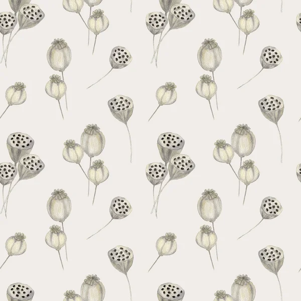 Lotus seeds. Watercolor Seamless Pattern With Dry Lotus Seed Head and Poppy. Water Lily. Autumn illustration