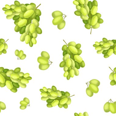 Grape. Seamless Pattern with Bunches of Green Grapes. Bright Juicy Grape Berries. The illustration is hand drawn. Design for Packaging, Wine labels, stationery