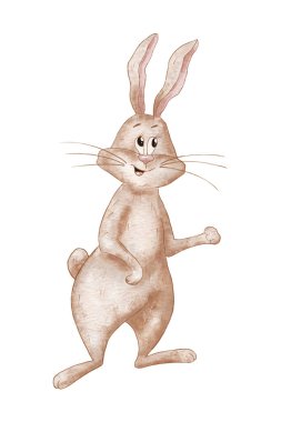 Komik suluboya tavşan. Tavşan tasviri Beyaz Arkaplanda izole edildi. Bir Evcil Hayvanın Çocuk İllüstrasyonu. Hayvan Kahverengi Tavşan