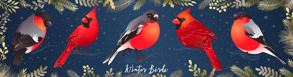 Kış kuşlar kümesi