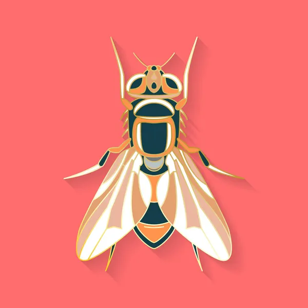 Logotipo gráfico abstrato do inseto —  Vetores de Stock