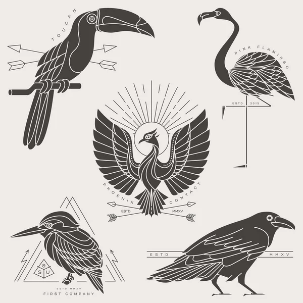 Vintage thin line bird label — Stock Vector