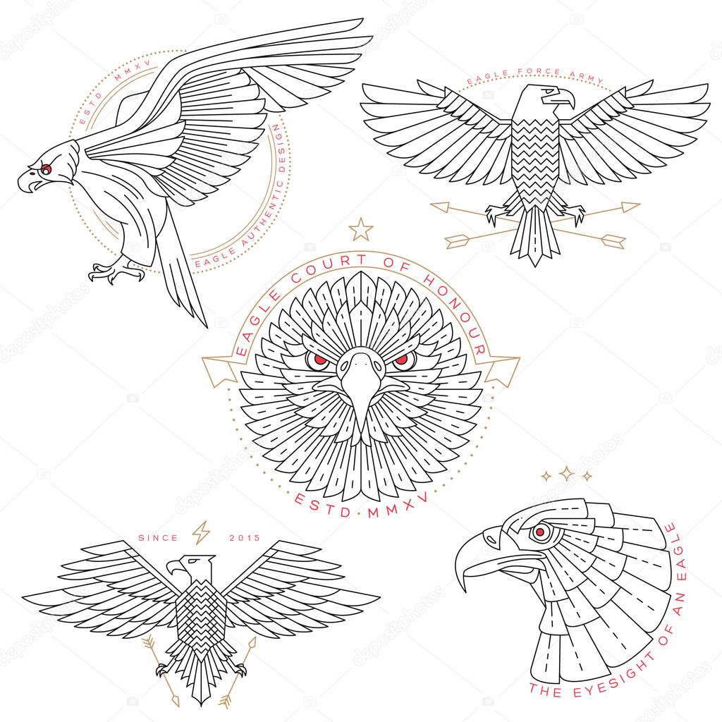 Set of vintage thin line eagle labels and badges. Vintage design vector illustration, logo and badge, emblem and insignia, sign and identity, logotype.