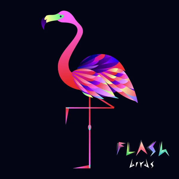 Ilustracja Flash flamingo — Wektor stockowy