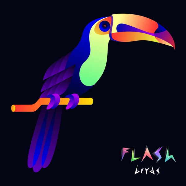 Ilustracja Flash Toucan — Wektor stockowy