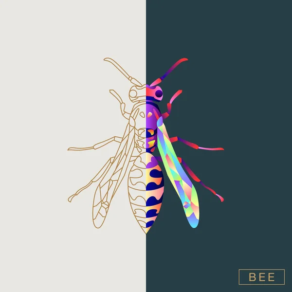 Abstrakte Insektenillustration — Stockvektor