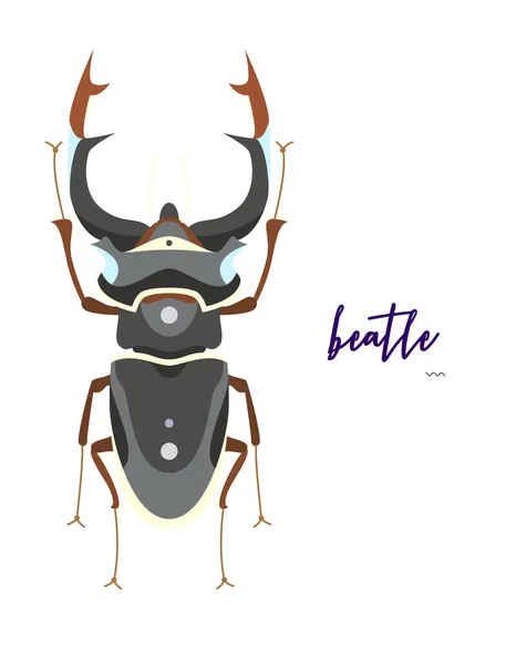 Abstracte insecten illustratie — Stockvector