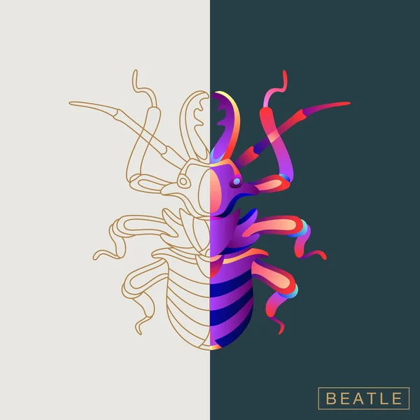 Abstracte insecten illustratie — Stockvector