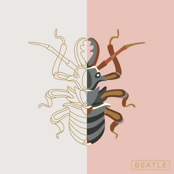 Ilustración abstracta de insectos — Vector de stock