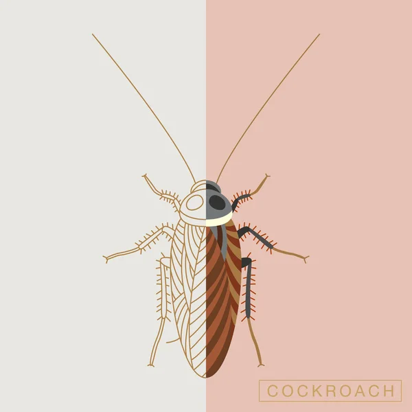Abstract insects illustration — Stock Vector