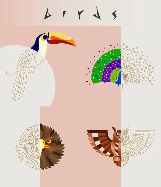 Abstrakt fågel illustration — Stock vektor