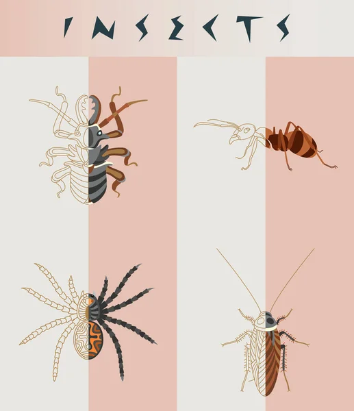 Abstrakta insekter illustration — Stock vektor