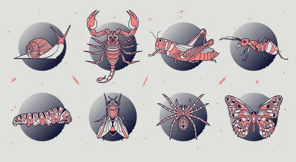 Illustration d'insectes abstraits — Image vectorielle