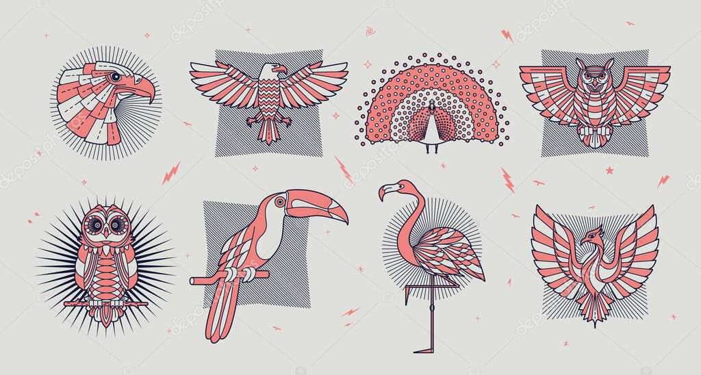 Set of thin line bird icons. Abstract graphic design logo, badge, label, sticker. Vector stock illustration.