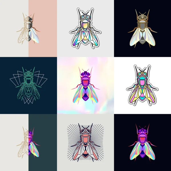 추상적 인 곤충 을묘 사 한 삽화 — 스톡 벡터