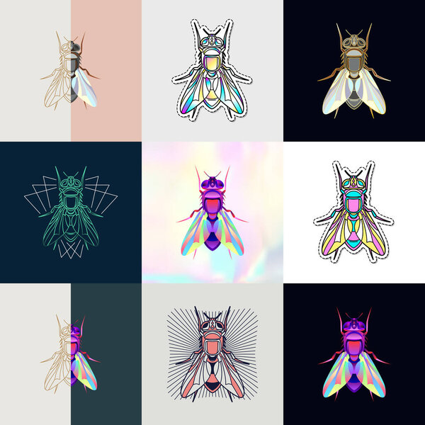 Abstract insects illustration