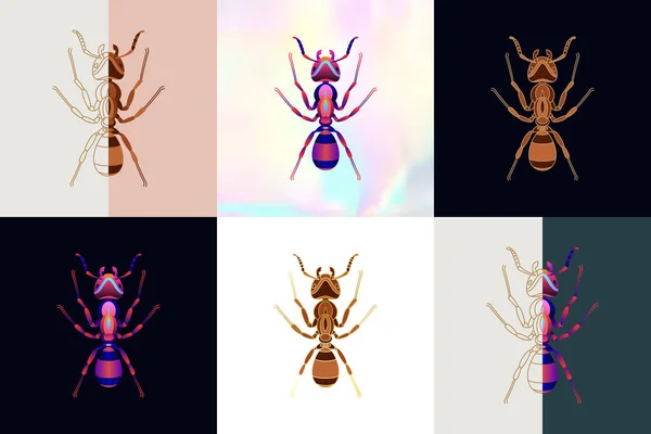 Abstracte insecten illustratie — Stockvector