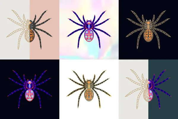 Collection Different Species Spiders Colour Image Stock Vector (Royalty  Free) 1536964073, Shutterstock