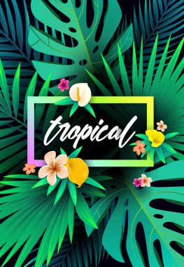 Yaz tropikal arka plan tasarım