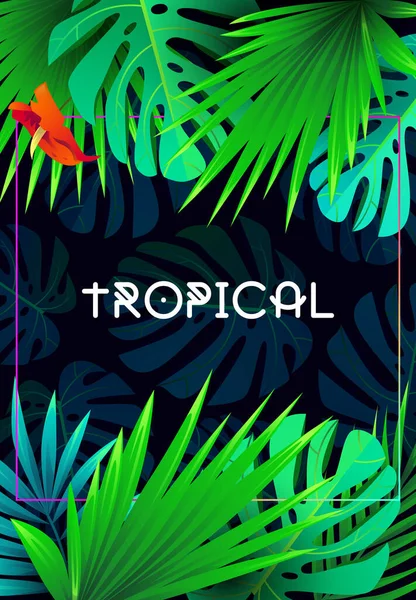Diseño de fondo tropical de verano — Vector de stock