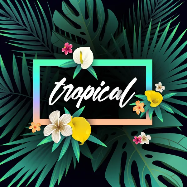 Conception de fond tropical d'été — Image vectorielle