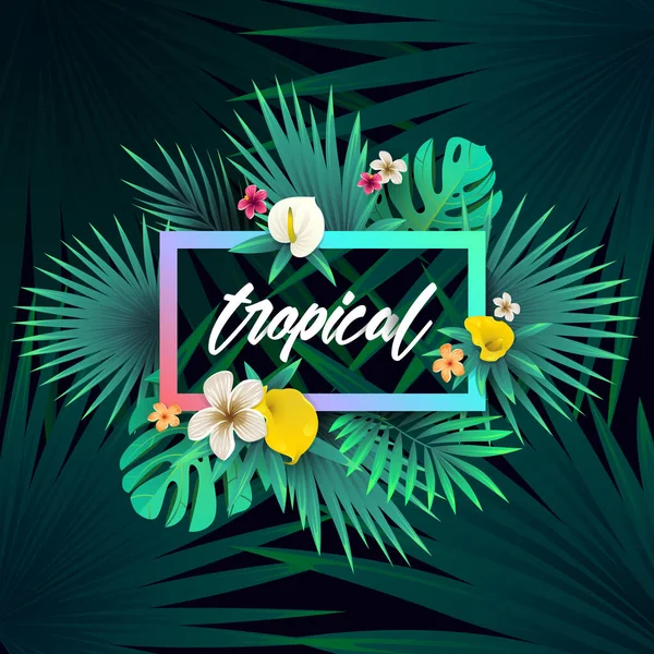 夏季热带背景设计 — 图库矢量图片
