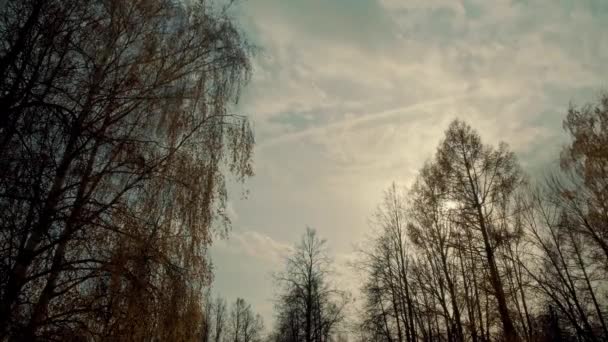 Timelapse Szybko Poruszające Się Chmury Słońce Świeci Przez Gałęzie Drzew — Wideo stockowe