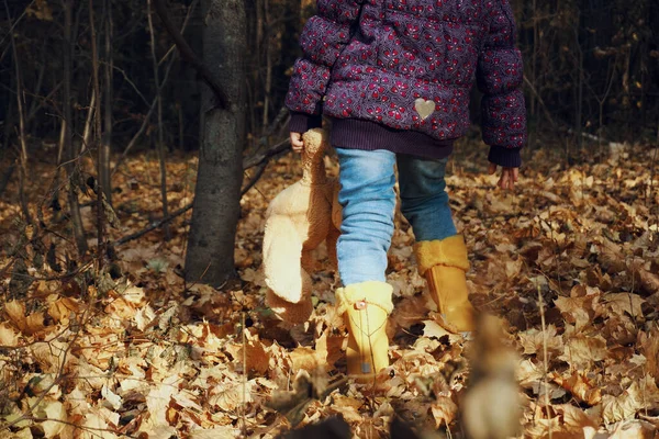 Una Niña Vestida Con Ropa Otoño Camina Por Bosque Otoñal — Foto de Stock