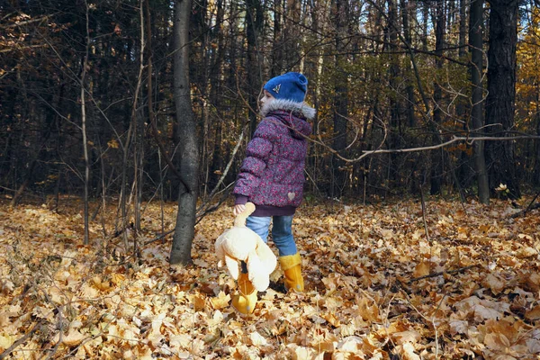 一个穿着秋衣的女孩走过长满干枯树叶的秋天森林 穿过树林吧 他手里拿着一只泰迪熊 — 图库照片
