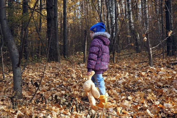 Девочка Осенней Одежде Ходит Осеннему Лесу Усыпанному Сухими Листьями Прогулка — стоковое фото