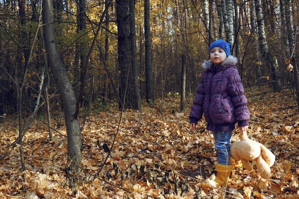Una Niña Vestida Con Ropa Otoño Camina Por Bosque Otoñal — Foto de Stock