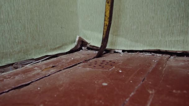 Dismantling Old Wooden Coating Repair Nailer Opening Floor Replacing Old — Video