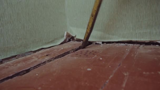 Dismantling Old Wooden Coating Repair Nailer Opening Floor Replacing Old — Stock Video