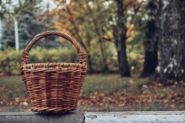 Autumn park with green grass and dry leaves. On the curb is a handmade knitted basket. Lots of free space. Soft selective focus.