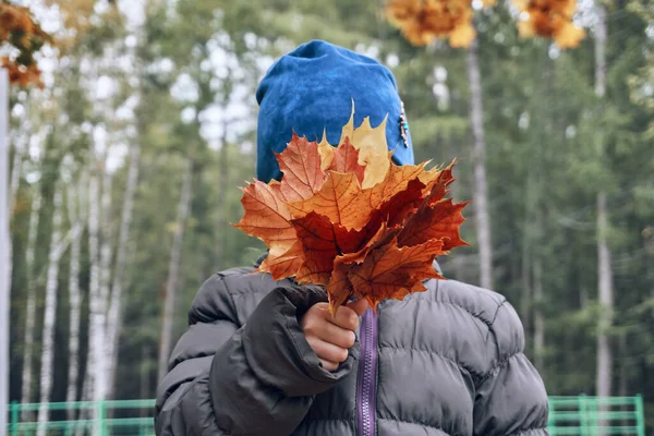 Girl Child Blue Hat Warm Autumn Day Holds Bouquet Dry — Foto de Stock