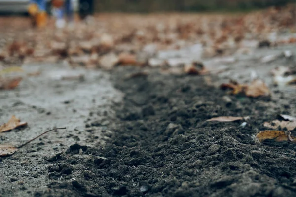 Autumning Weather Lots Dry Leaves Ground Traces Wheel Walking Open — Stock Photo, Image