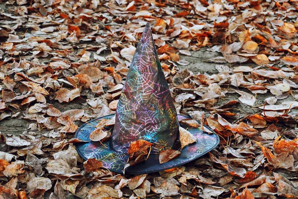 The witch\'s hat rests on the dry autumn leaves, halloween, games and entertainment. A lone hat lies on the ground.