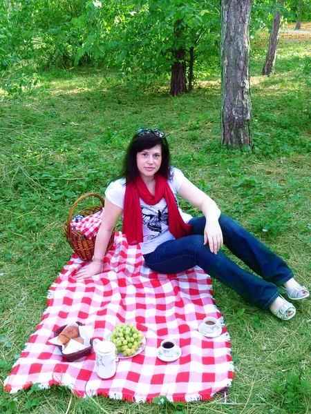 ピクニック — ストック写真