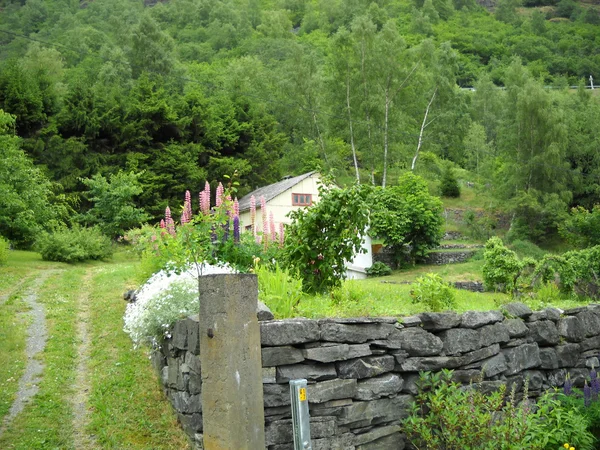 Norwegen — Stockfoto