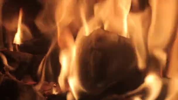 Feuer lodert in Flammen — Stockvideo