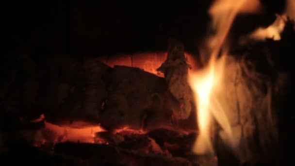 Feuer lodert in Flammen — Stockvideo